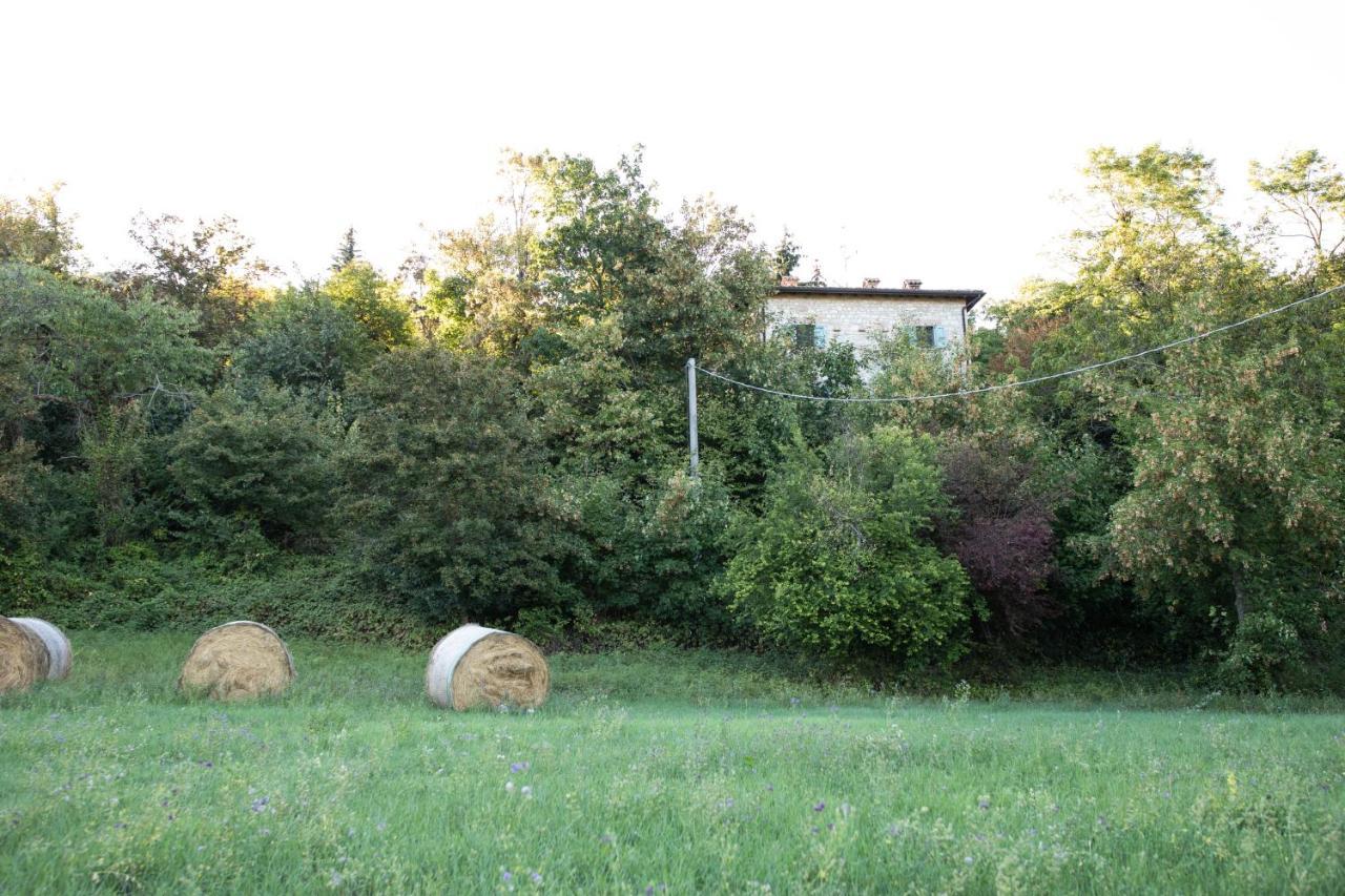 Ferienwohnung La Marcona Serramazzoni Exterior foto